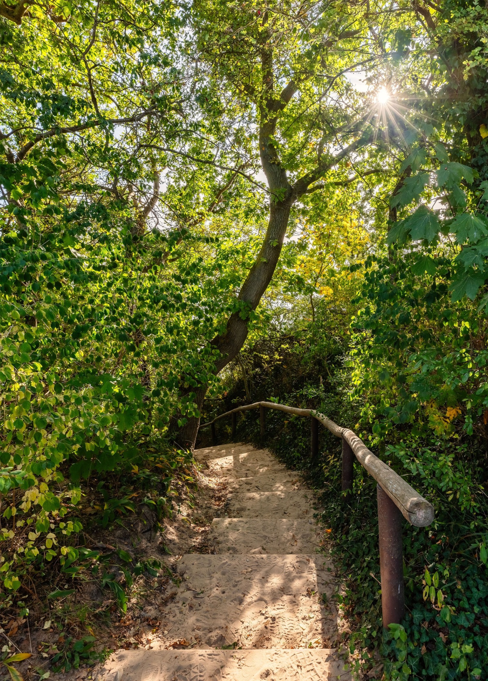 Treppe