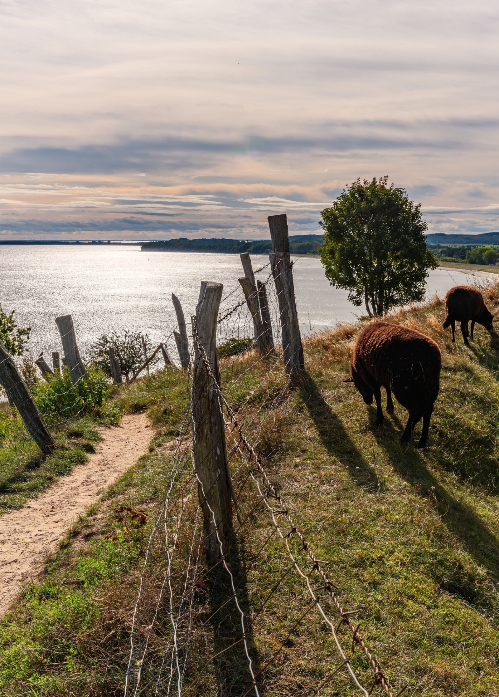 Seeblick